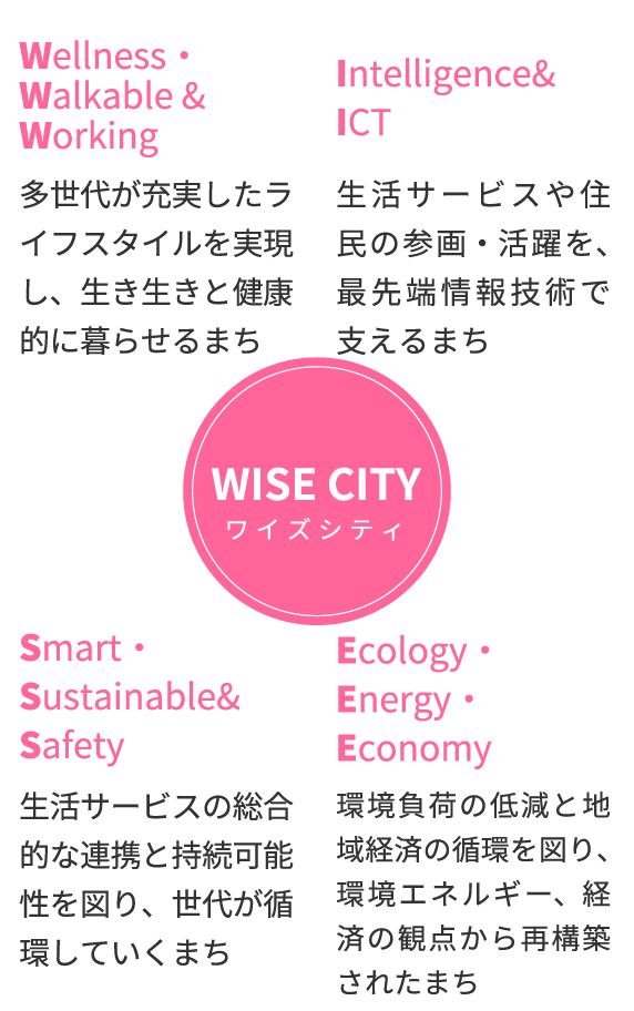 WISE CITY